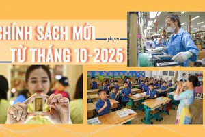 Chính sách mới từ tháng 10: Cập nhật ngay để không ảnh hưởng quyền lợi