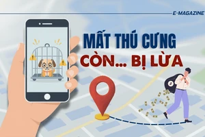 Thâm nhập đường dây 'mèo tặc' - Bài 4: Thủ đoạn lừa đảo chuộc chó, mèo 