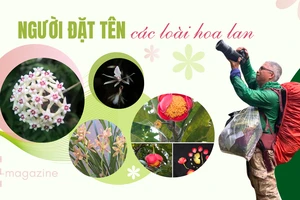 Chuyện thú vị về người đặt tên cho các loài hoa lan 