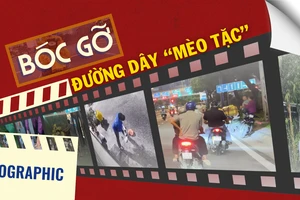 Infographic: Bóc gỡ đường dây 'mèo tặc' tại TP.HCM 