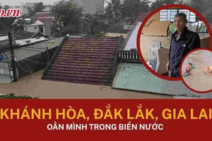 Toàn cảnh 20-11: Lũ vượt mốc lịch sử, miền Trung oằn mình trong biển nước