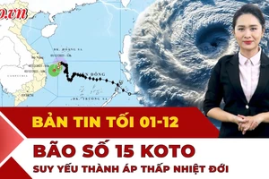 Bản tin tối 1-12: Bão số 15 suy yếu thành áp thấp nhiệt đới; Mỹ diễn tập không kích Venezuala?