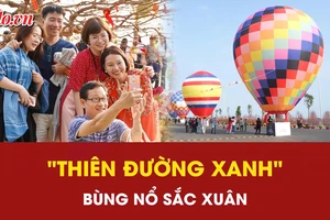 Du khách đổ bộ Cần Giờ check-in lễ hội khinh khí cầu: "Thiên đường xanh" bùng nổ sắc xuân
