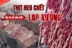 Điều tra: Thịt bẩn luồn lách đến bữa ăn - Kỳ 3: Từ bãi đất trống đến lò lạp xưởng