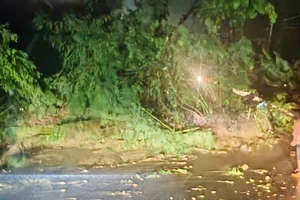 Đèo Sông Pha trên quốc lộ 27 sạt lở nặng gây tắc nghẽn giao thông