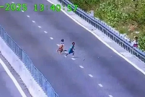 3 thiếu niên trèo rào vào cao tốc Cam Lâm - Vĩnh Hảo ném đá ô tô