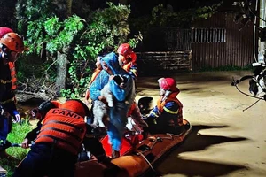 Lâm Đồng: Nhiều nơi ngập nặng do mưa lớn, thiệt hại khoảng 4,5 tỉ đồng