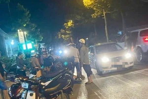 Sẽ xử lý nghiêm người nuôi chó thả rông gây tai nạn giao thông 