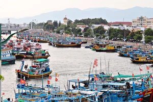 Lâm Đồng khẩn cấp ứng phó bão Kalmaegi