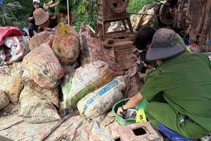 Công an tập kích bãi khai thác vàng lúc nửa đêm ở Lâm Đồng 