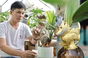 Dừa bonsai tạo hình linh vật rồng