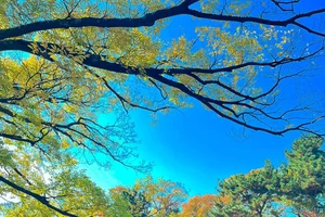  Lao động Việt đón Tết ở xứ người 