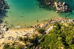 Bình Định: Người dân phấn khích khi thấy cá heo bơi sát bờ biển 