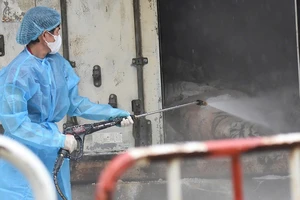 Vụ hổ chết hàng loạt: Truy tìm nguồn lây cúm A/H5N1