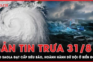 Bản tin trưa 31-8: Bão Saola đạt cấp siêu bão, hoành hành dữ dội ở Biển Đông
