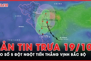 Bản tin trưa 19-10: Bão số 5 di chuyển khó lường, đột ngột đổi hướng vào vịnh Bắc Bộ