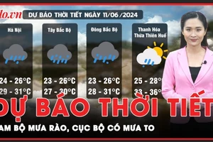 Dự báo thời tiết 11-6: Nam bộ mưa rào, cục bộ có mưa to, cảnh báo lũ quét và ngập úng 