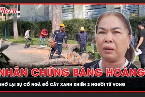 Nhân chứng bàng hoàng kể lại giây phút nhánh cây gãy đè tử vong 2 người ở Công viên Tao Đàn