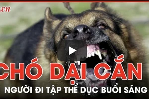 Chó dại cắn 11 người đi tập thể dục buổi sáng ở Đồng Nai