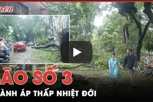 Cập nhật tình hình Hà Nội, Thái Bình, Quảng Ninh sau khi bão số 3 đi qua