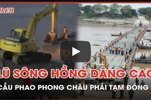 Tạm đóng cầu phao Phong Châu do lũ sông Hồng lên cao