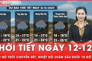 Thời tiết ngày 12-12: Bắc bộ trời chuyển rét đậm, rét hại, nhiệt độ giảm sâu dưới 10 độ C