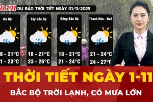 Thời tiết ngày 1-11: Bắc Bộ trời lạnh, có mưa lớn 