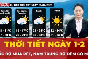 Thời tiết ngày 1-2: Bắc Bộ mưa rét, Nam Trung Bộ đêm có mưa vài nơi