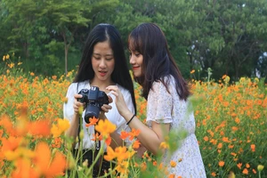 Ngắm vườn hoa, rau củ quả trong trường đại học ở TP.HCM