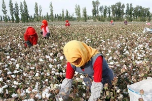 Doanh nghiệp Mỹ sợ tác động tiêu cực nếu tẩy chay hàng hóa Tân Cương