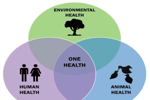 Một Sức khỏe - giải pháp ngăn chặn các đại dịch tiềm tàng trong tương lai?