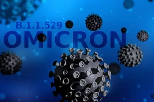 Ảnh minh họa biến thể Omicron. Ảnh: SBS SF