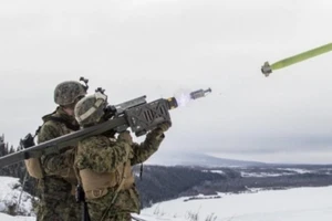 Ukrinform:Đức duyệt gửi Ukraine 2.700 tên lửa đất đối không vác vai thời Liên Xô