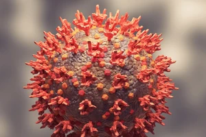 Biết gì về biến thể tái tổ hợp Delta-Omicron và giữa các dòng phụ của Omicron?