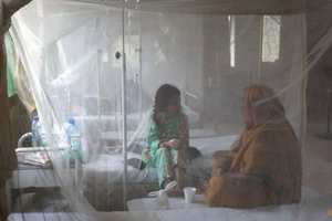 Bệnh nhân sốt rét đang điều trị tại cơ sở y tế ở tỉnh Sindh (Pakistan) ngày 21-9. Ảnh: REUTERS