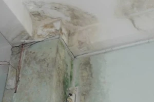 Hàng xóm để nước mưa chảy ngấm tường gây hư hỏng? 