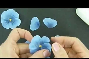 Bao nhiêu tuổi được xem là người lao động? 