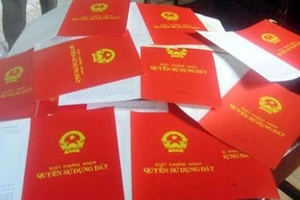 Góp tiền mua đất chung, giấy chứng nhận cấp ra sao?