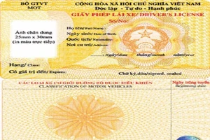 Mất giấy phép lái xe, có được cấp lại? 
