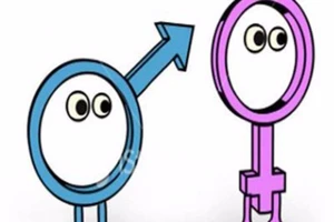 Cháu nội, ngoại hưởng thừa kế như nhau