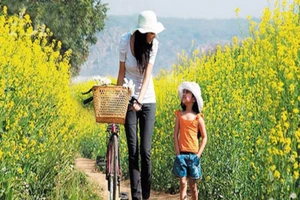 Cha lấy vợ mới, mẹ được quyền nuôi con? 