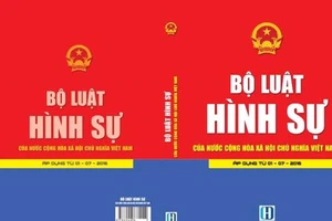 Luật sư khổ vì quy định 'tố thân chủ'