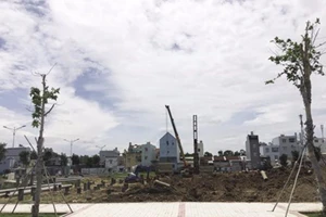 Rà soát diện tích tối thiểu để tách thửa trước 15-11