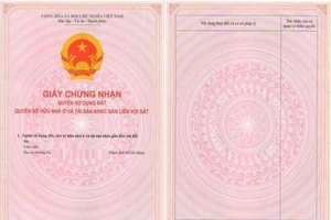 Hóc Môn làm thất lạc 4 phôi giấy chứng nhận 