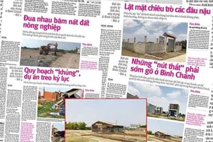 Bình Chánh ngăn chặn hai thửa đất phân lô bán nền để điều tra 