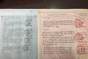 Chuyển cơ quan điều tra vụ giả giấy hồng