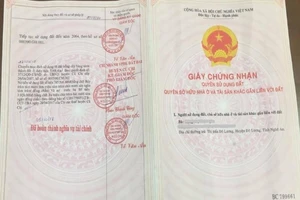 Cuối năm, công chứng 'bắt' giấy hồng giả giao công an xử lý 