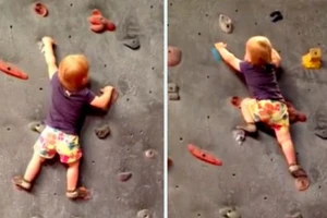 Bé 19 tháng tuổi leo núi nhân tạo như nhà chuyên nghiệp