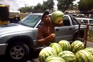 Clip: Cách hứng dưa hấu độc nhất vô nhị 