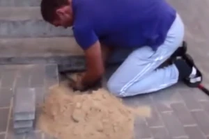 Giải cứu chú chó dưới lòng đất hot nhất Internet tuần qua